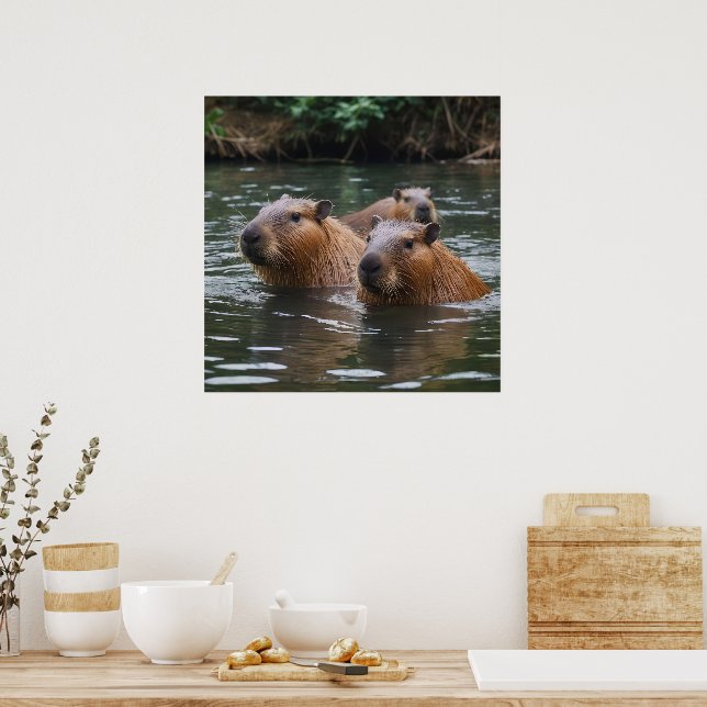 Póster "Río Serenidad: Capybaras nadando en el flujo" (Cocina)