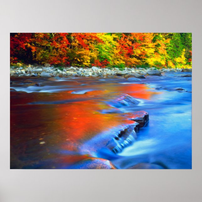 Póster Río Swift que refleja los colores del otoño (Frente)