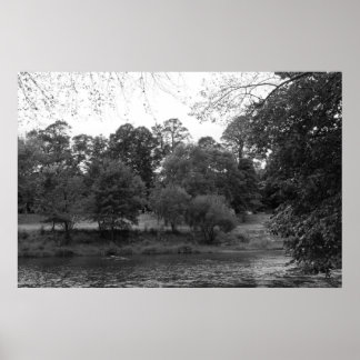 Póster Río Taff en Bute Park, Cardiff - BW