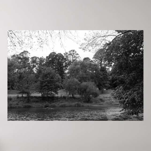 Póster Río Taff en Bute Park, Cardiff - BW (Frente)