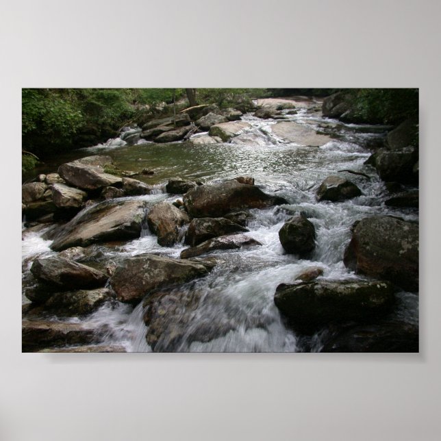 Póster Río Thompson (Frente)