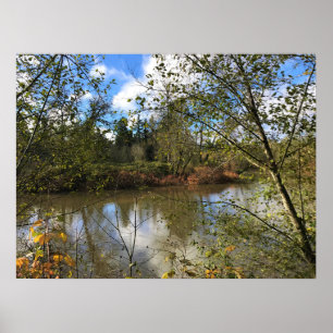 Póster Río Tualatin, Oregón