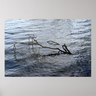 Póster Río, vida residual