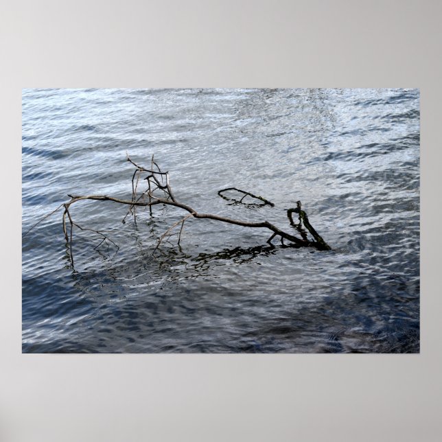 Póster Río, vida residual (Frente)