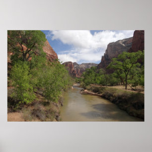 Póster Río Virgin en primavera en el Parque Nacional Zion