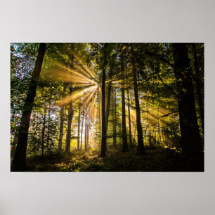 Póster Ríos solares forestales encantados 1