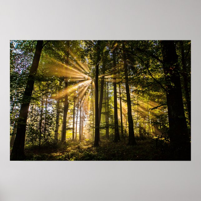 Póster Ríos solares forestales encantados 1 (Frente)
