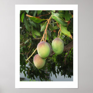 Póster Ripening