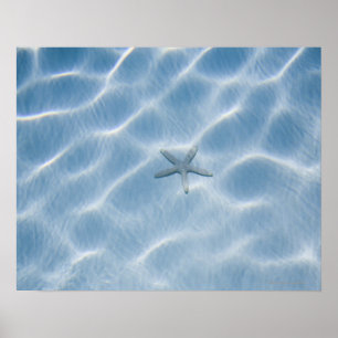 Póster Rippled blue water with starfish