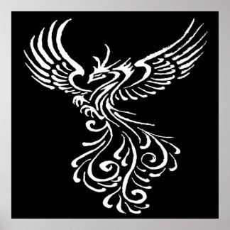 Póster Rising From The Ashes Phoenix White Illustration