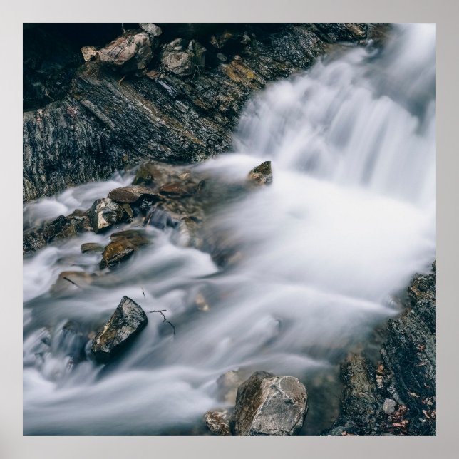 Póster ritmo de la naturaleza (Frente)