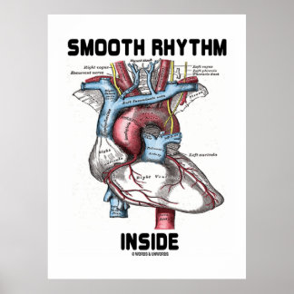 Póster Ritmo suave en el interior (Corazón anatómico médi