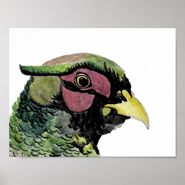 Póster Ritratto di Fagiano (Frente)