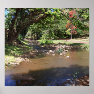 Póster River of Serenity