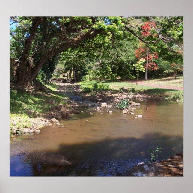 Póster River of Serenity (Frente)