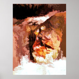 PÓSTER RIVER SPIRIT