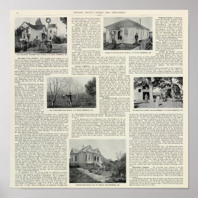 Póster Riverdale Prune Orchard, California (Frente)