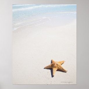 Póster Riviera Maya