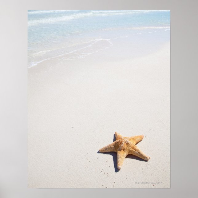 Póster Riviera Maya (Frente)