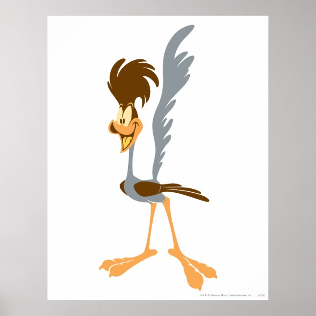 Póster ROAD RUNNER™ Artístico (Frente)