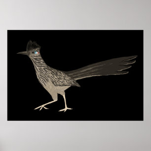 Póster Roadrunner Coloreado Dibujo de lápiz en negro