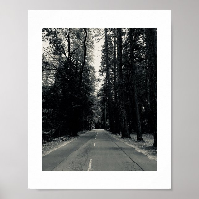 Póster Roadside Wilds Fotografía en blanco y negro (Frente)