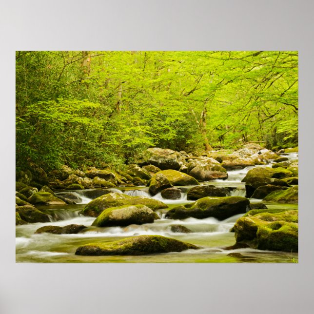 Póster Roaring Fork en primavera (Frente)
