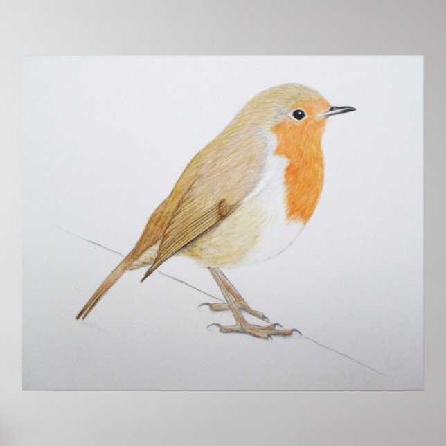 Póster Robin 2011 (Frente)