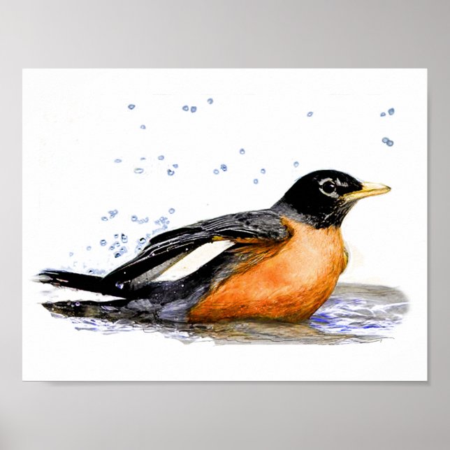 Póster Robin Bathing (Frente)