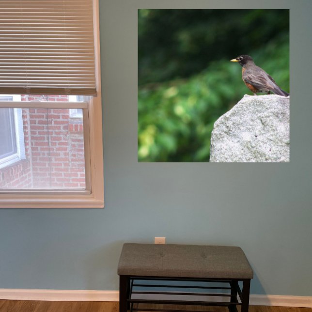 Póster Robin Bird Photo Poster (Subido por el creador)