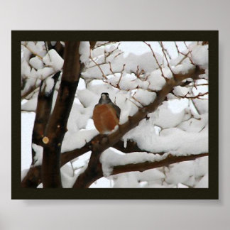 Póster Robin en negro