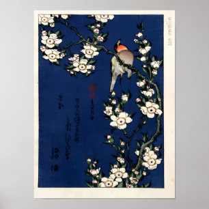 Póster Robin en una rama de flores de cerezo de K. Hokusi