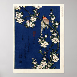 Póster Robin en una rama de flores de cerezo por K. Hokus