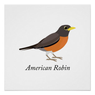 Póster Robin estadounidense