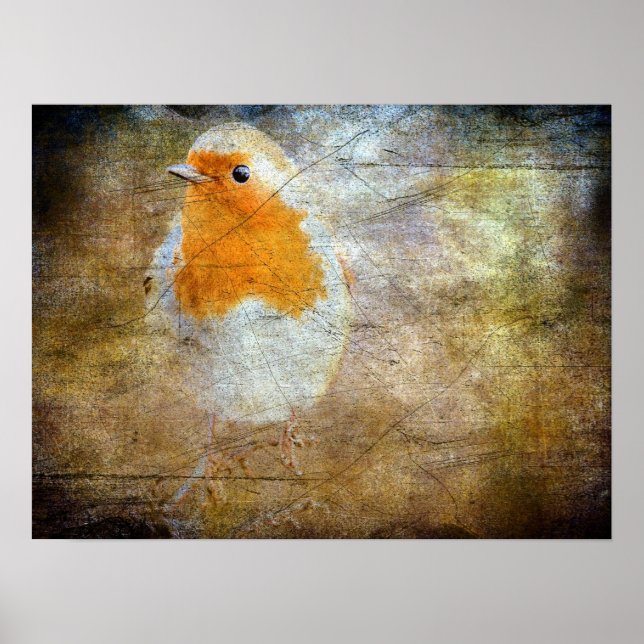 Póster Robin Grunge (Frente)