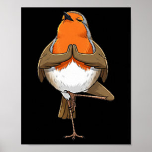 Póster Robin hace pose de yoga meditación pájaro divertid