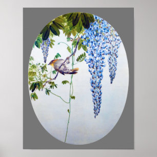 Póster Robin japonés en Wisteria, Watanabe Seitei
