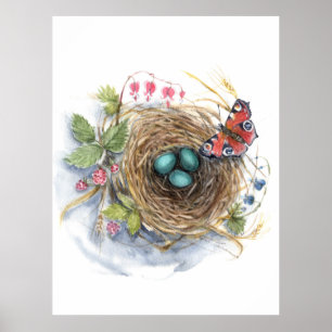 Póster Robin Nest