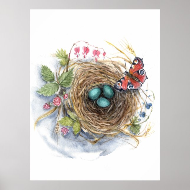 Póster Robin Nest (Frente)