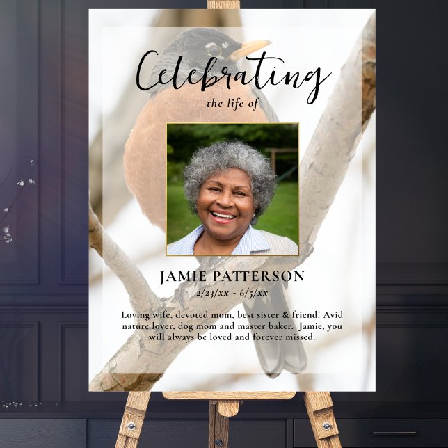 Póster Robin Observadora de Pájaros, Celebración de la Fo (Subido por el creador)