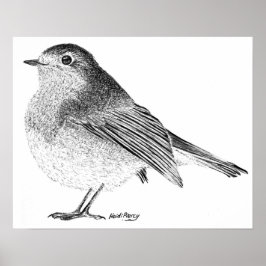 Póster Robin Sketch Poster
