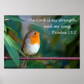 Póster Robin Song Poster