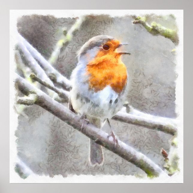 Póster Robin Watercolor Angelic (Frente)