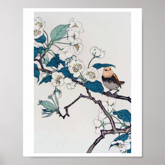 Póster Robin y los cerezos en flor, Imao Keinen (Frente)