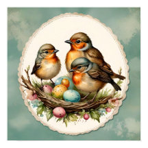 Robins de primavera para bebés de Woodland. Primav