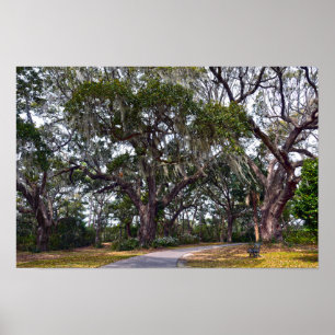 Póster Robles Cannon en duelo, Charles Town Landing, S.C.