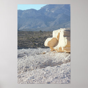 Póster Roca con montañas