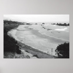 Póster Roca de foca-Duotone