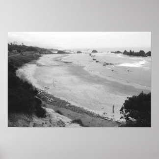 Póster Roca de foca-Duotone