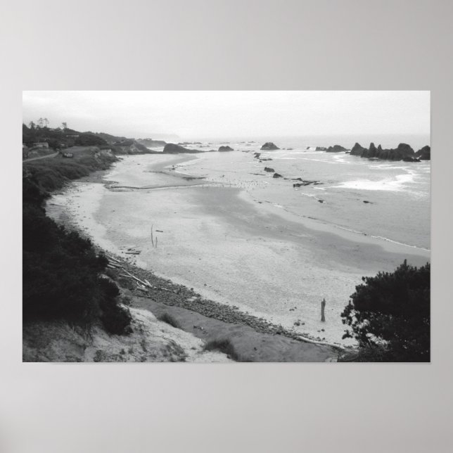 Póster Roca de foca-Duotone (Frente)